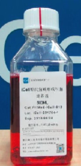 Primary Keratinocyte Culture System