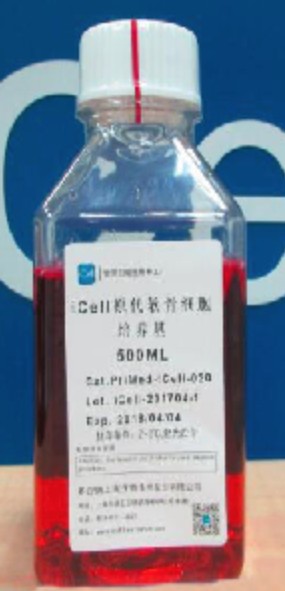 Primary B Lymphocyte Culture System