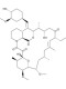 Ascomycin (FK520)