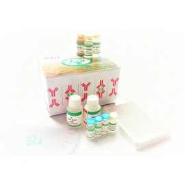 ELISA Kit FOR Stabilin-2