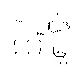 2-MeS-ATP tetrasodium
