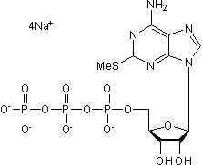 2-MeS-ATP tetrasodium