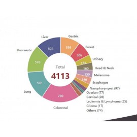 CD34+ Humanized Mice