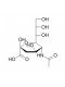 N-Acetylneuraminic acid