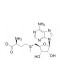 S-Adenosyl-L-Methtonine