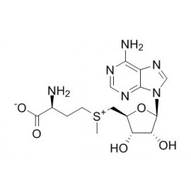 S-Adenosyl-L-Methtonine
