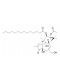 12-O-tetradecanoylphorbol-13-acetate