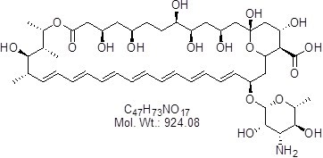 Amphotericin B