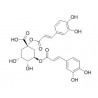 1,3-Dicaffeoylquinic acid