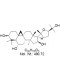 Cycloastragenol