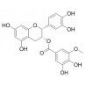 (-)-Epicatechin-3-(3''-O-methyl) gallate