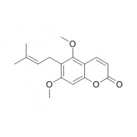 Toddaculine