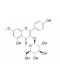 Rhamnocitrin 3-glucoside