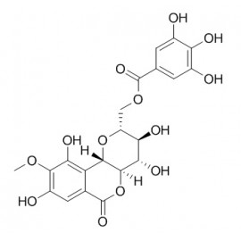 11-O-Galloylbergenin