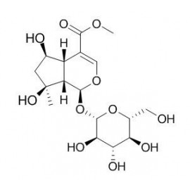 Shanzhiside methylester