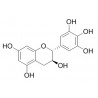 (+)-Gallocatechin