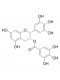 (-)-Epigallocatechin gallate