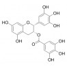(-)-Epigallocatechin gallate