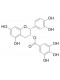 (-)-Epicatechin gallate
