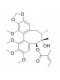 Schisantherin B