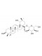 Siaresinolic acid 28-O-beta-D-glucopyranosyl ester