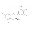 (+)-gallocatechin