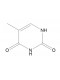 Thymine