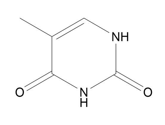 Thymine