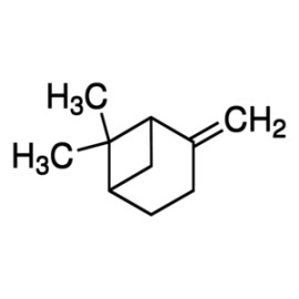 β-Pinene