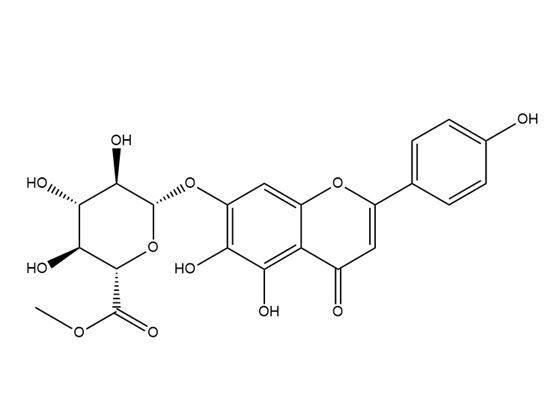 Scutellarin methylester