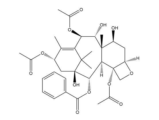13-Acetyl-9-dihydrobaccatin III