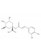 1-O-Caffeoylquinic acid