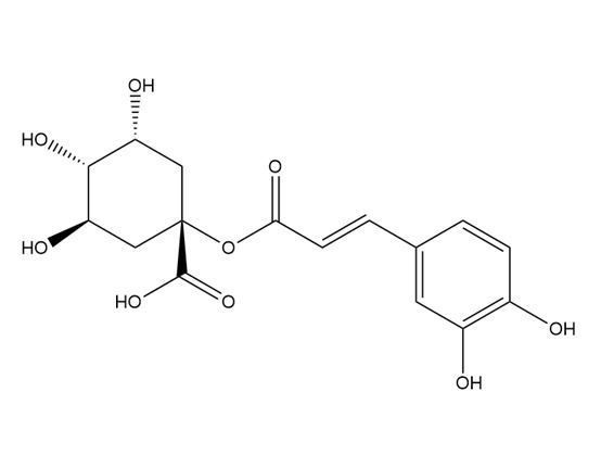 1-O-Caffeoylquinic acid