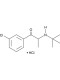 Bupropion Hydrochloride