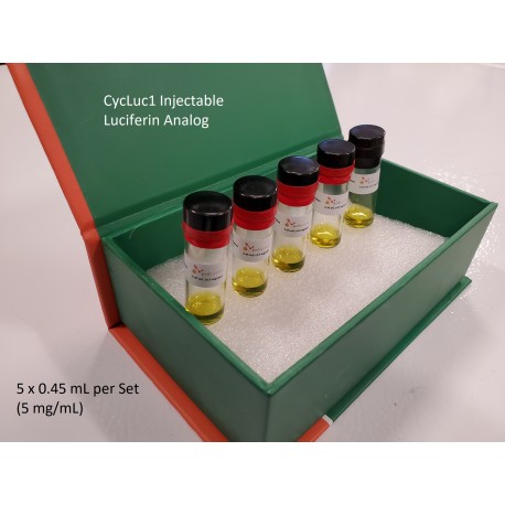 CycLuc1 Injectable