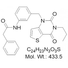 FEN1 inhibitor SC13