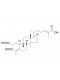 3,4-Secocucurbita-4,24-diene-3,26,29-trioic acid