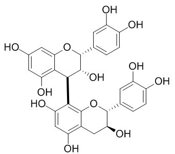 Procyanidin B1