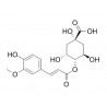 4-O-Feruloylquinic acid