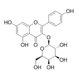 Kaempferol-3-O-galactoside