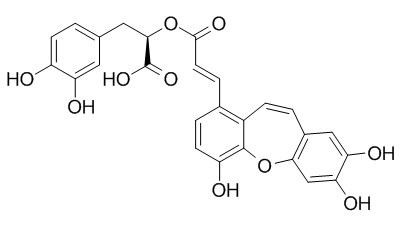 Isosalvianolic acid C