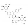 Kaempferol 3-sophoroside-7-glucoside