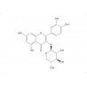 Quercetin 3-O-β-D-xylopyranoside