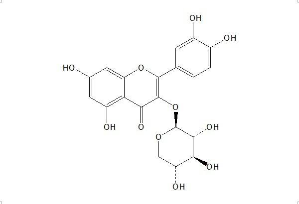 Quercetin 3-O-β-D-xylopyranoside