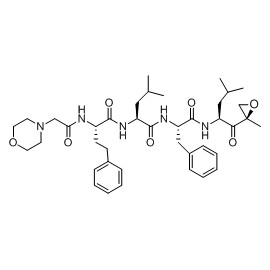 Carfilzomib