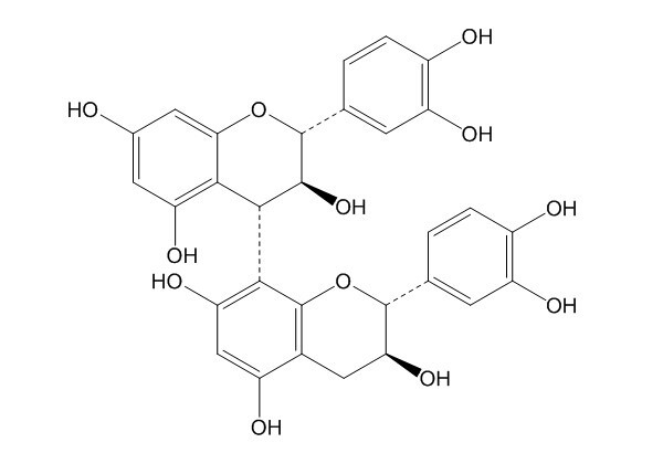 Procyanidin B3