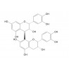 Procyanidin B2