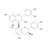Procyanidin B1