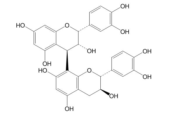 Procyanidin B1