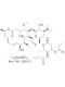 Rokitamycin